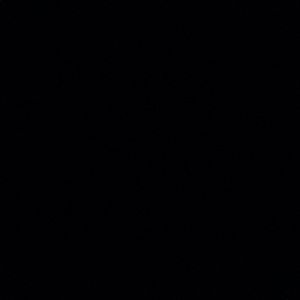 Meet your Posher, Flower